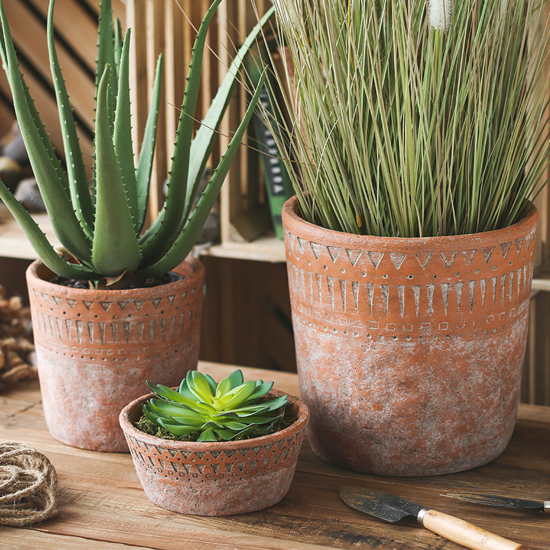 African earthenware cultivation in vintage terracotta pots