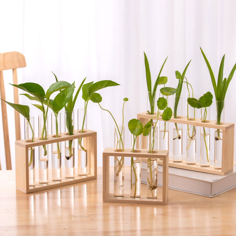 Creative Wooden Frame Hydroponic Plant Container Home Desktop Decorations