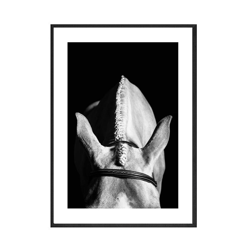 Black And White Animal Horse Canvas Painting Modern Wall Art Decor Poster