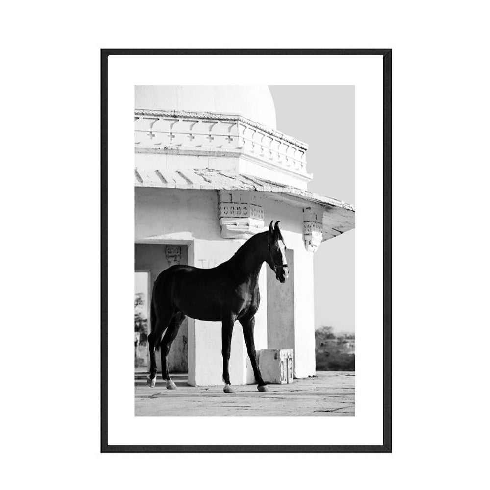 Black And White Animal Horse Canvas Painting Modern Wall Art Decor Poster