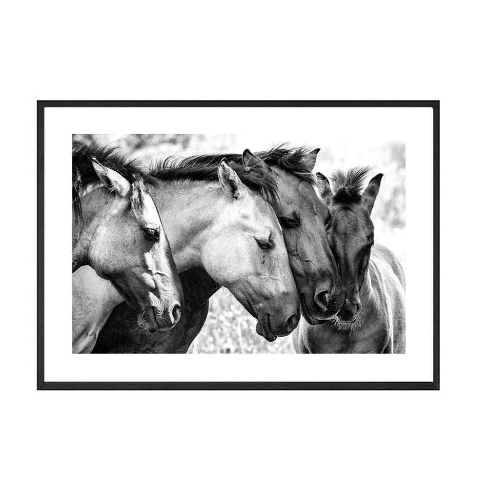 Black And White Animal Horse Canvas Painting Modern Wall Art Decor Poster